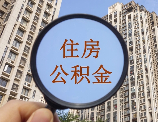 沈丘退休后查不到公积金明细了吗（退休后公积金查询不到原因）